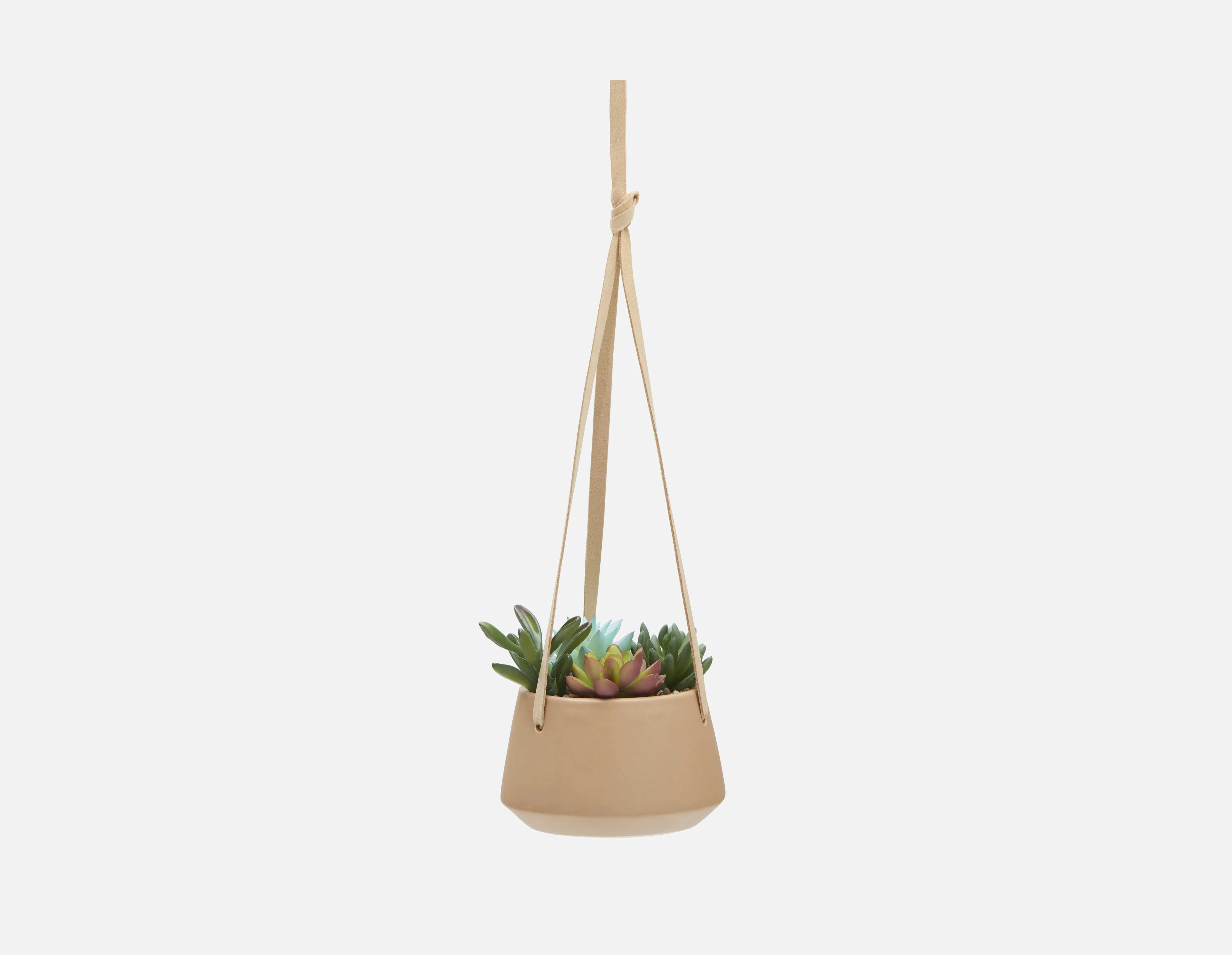 BILL — Hanging artificial potted plant 14 cm - Image 3