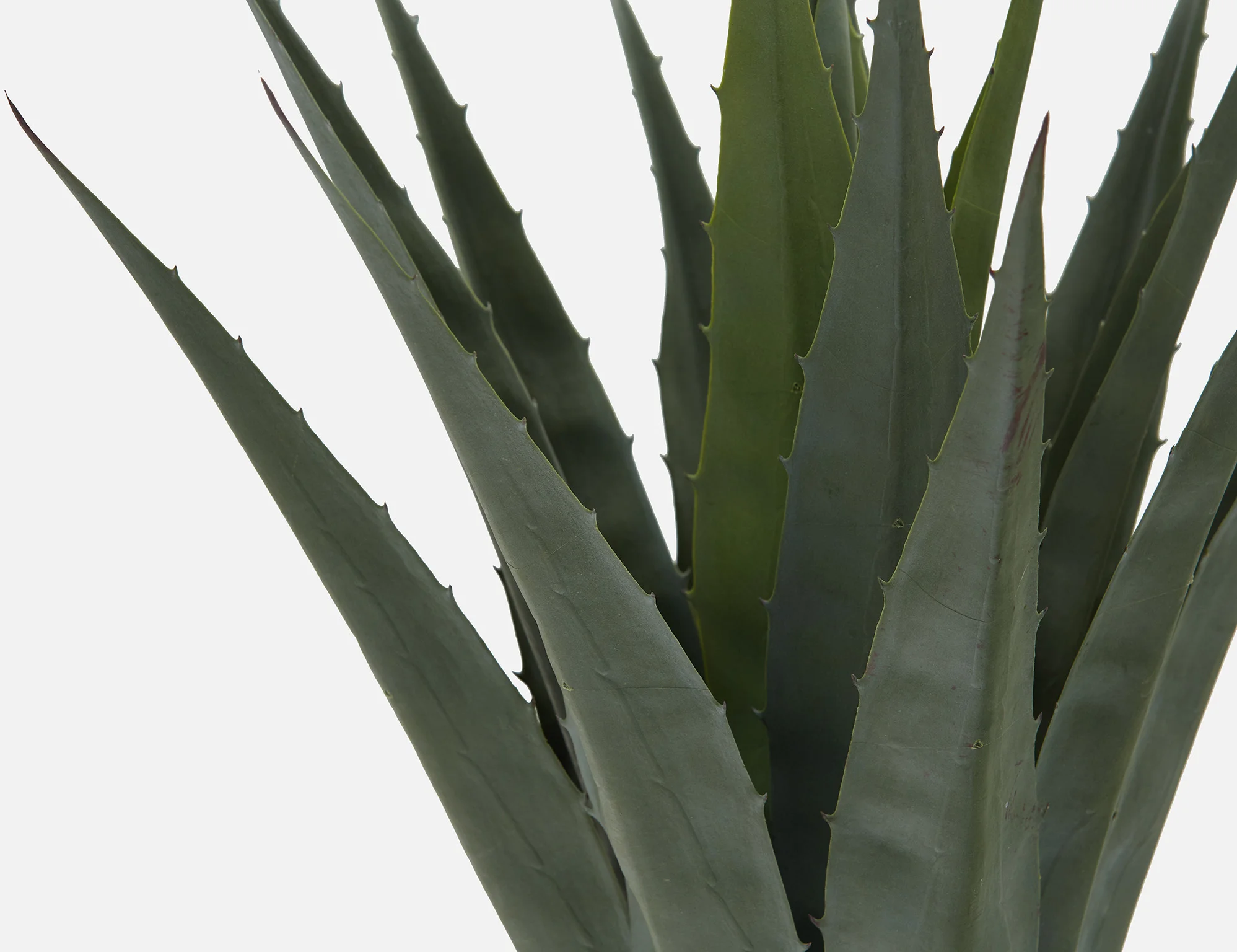 AGAVE — Artificial potted plant 80 cm - Image 3