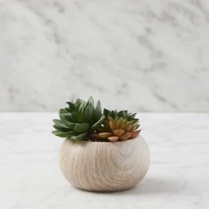 TISHA — Artificial potted plant 13 cm