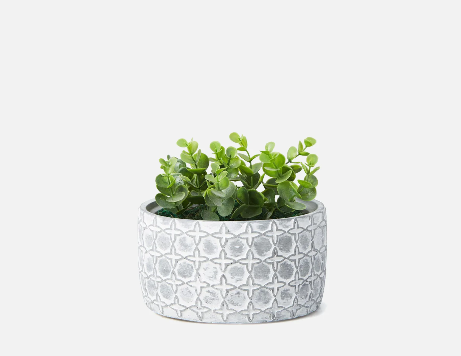 LIVI I — Artificial potted plant 17 cm - Image 6