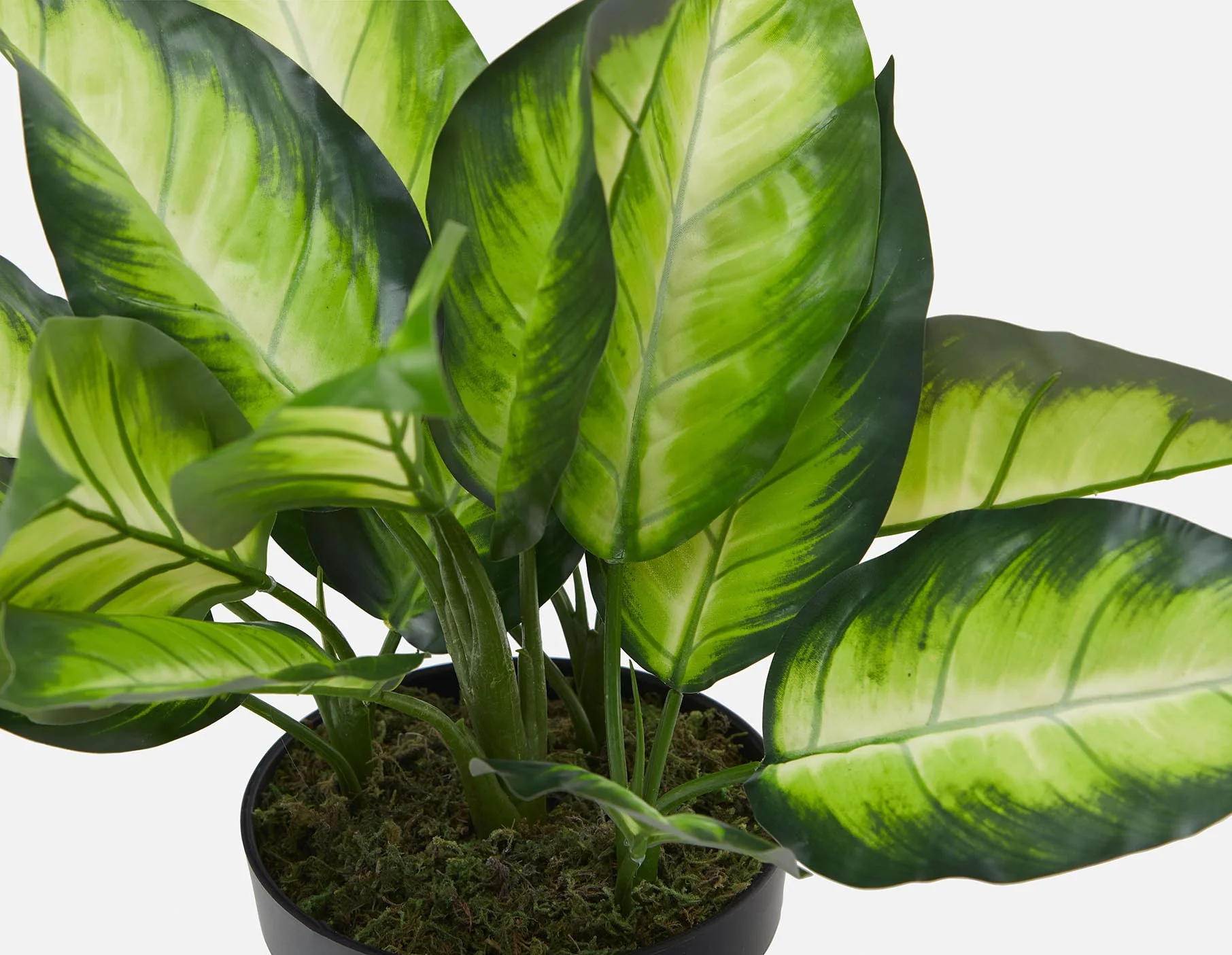 ALIX — Artificial potted plant 50 cm - Image 3