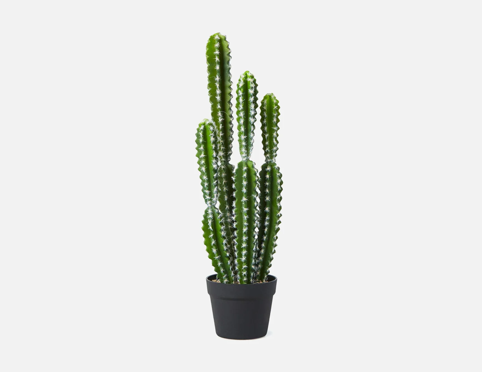 TETRA — Artificial potted cactus 70 cm - Image 11