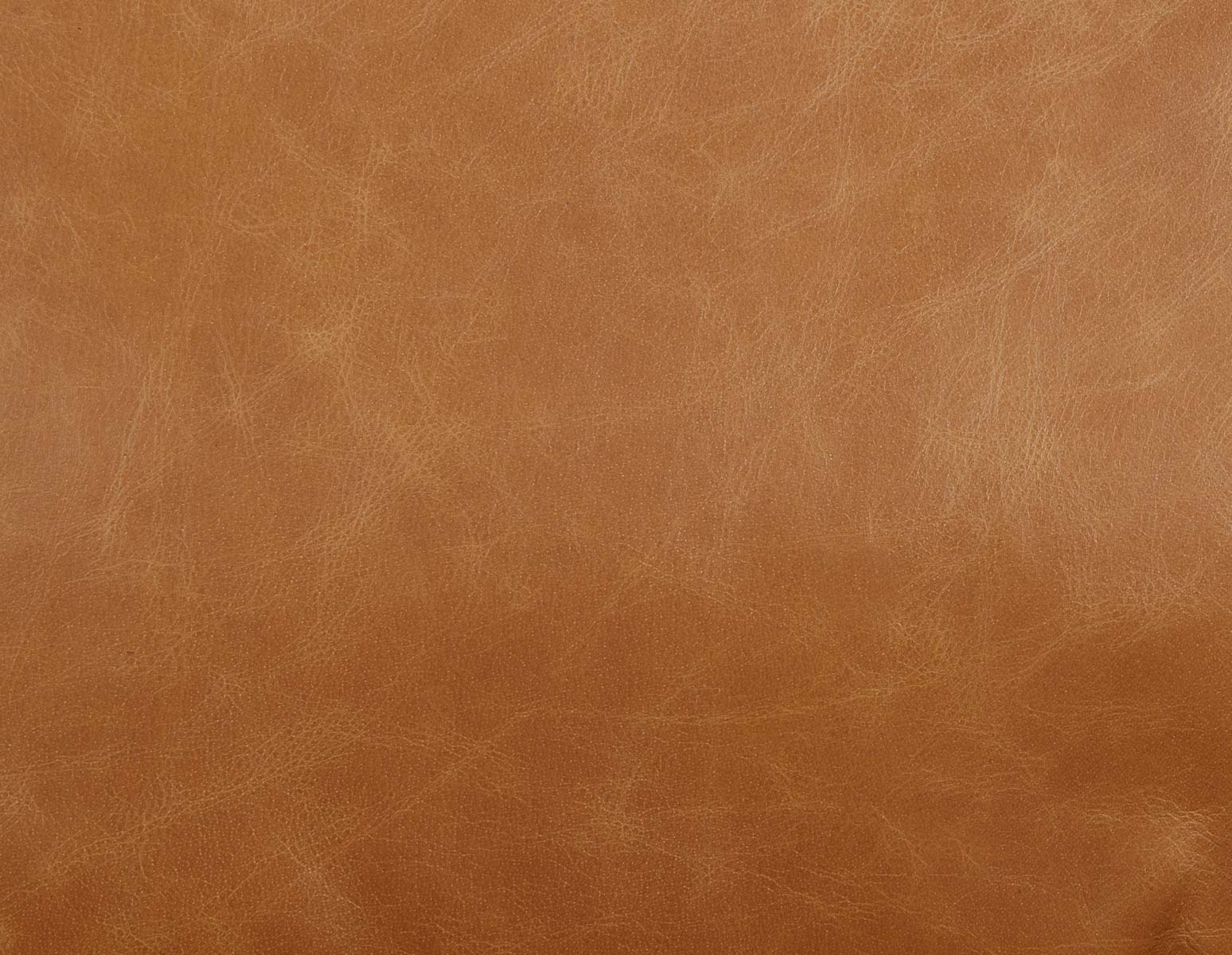 KINSEY — 100% leather loveseat - Image 12