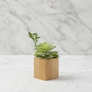 FORET — Artificial potted plant 7 cm