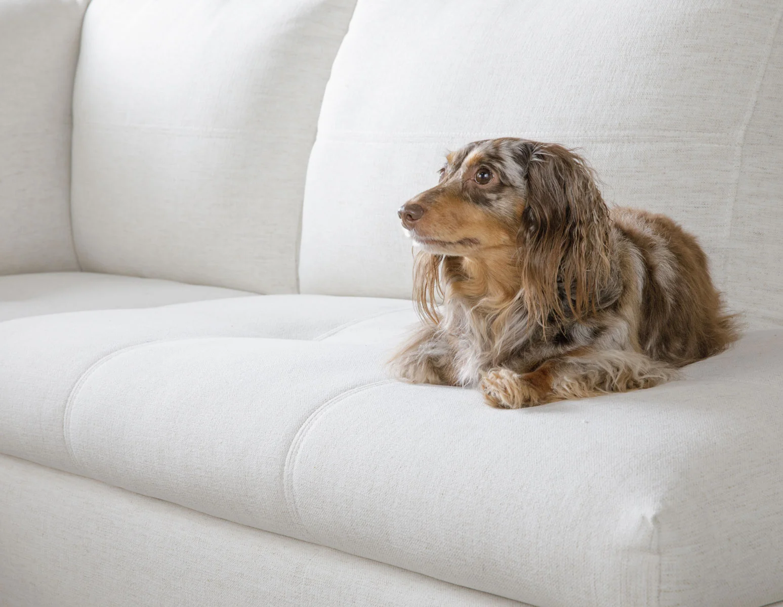 ANDREW — Right-facing sectional sofa in performance fabric (45-44-77-46) - Image 13