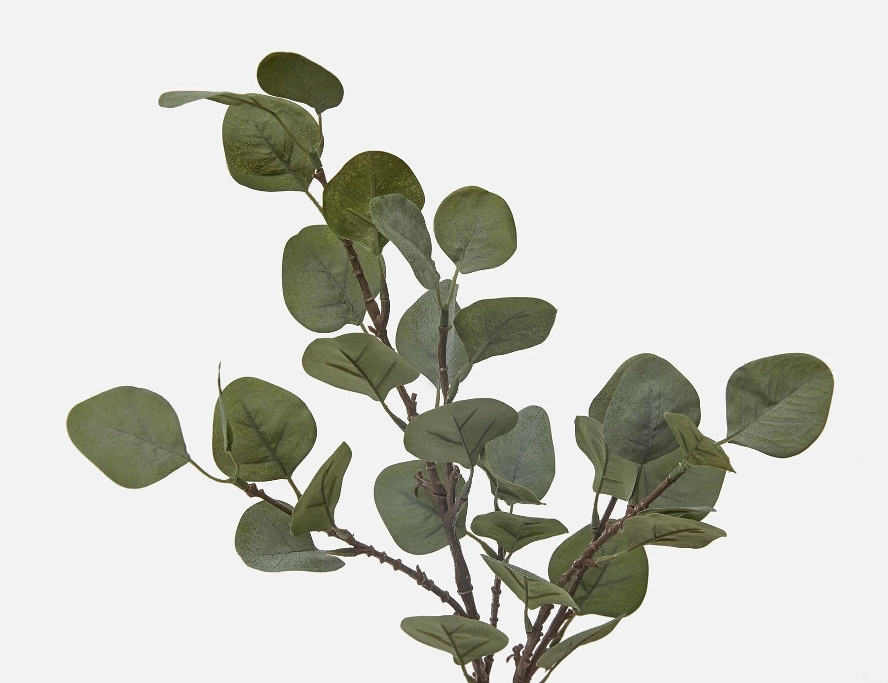 EUCALYPTUS II — Artificial plant 65 cm - Image 3