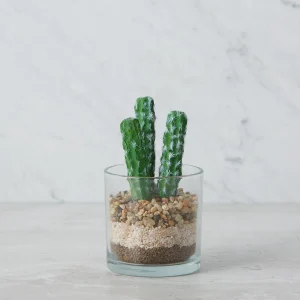 MYRTILLO — Artificial potted plant 19 cm