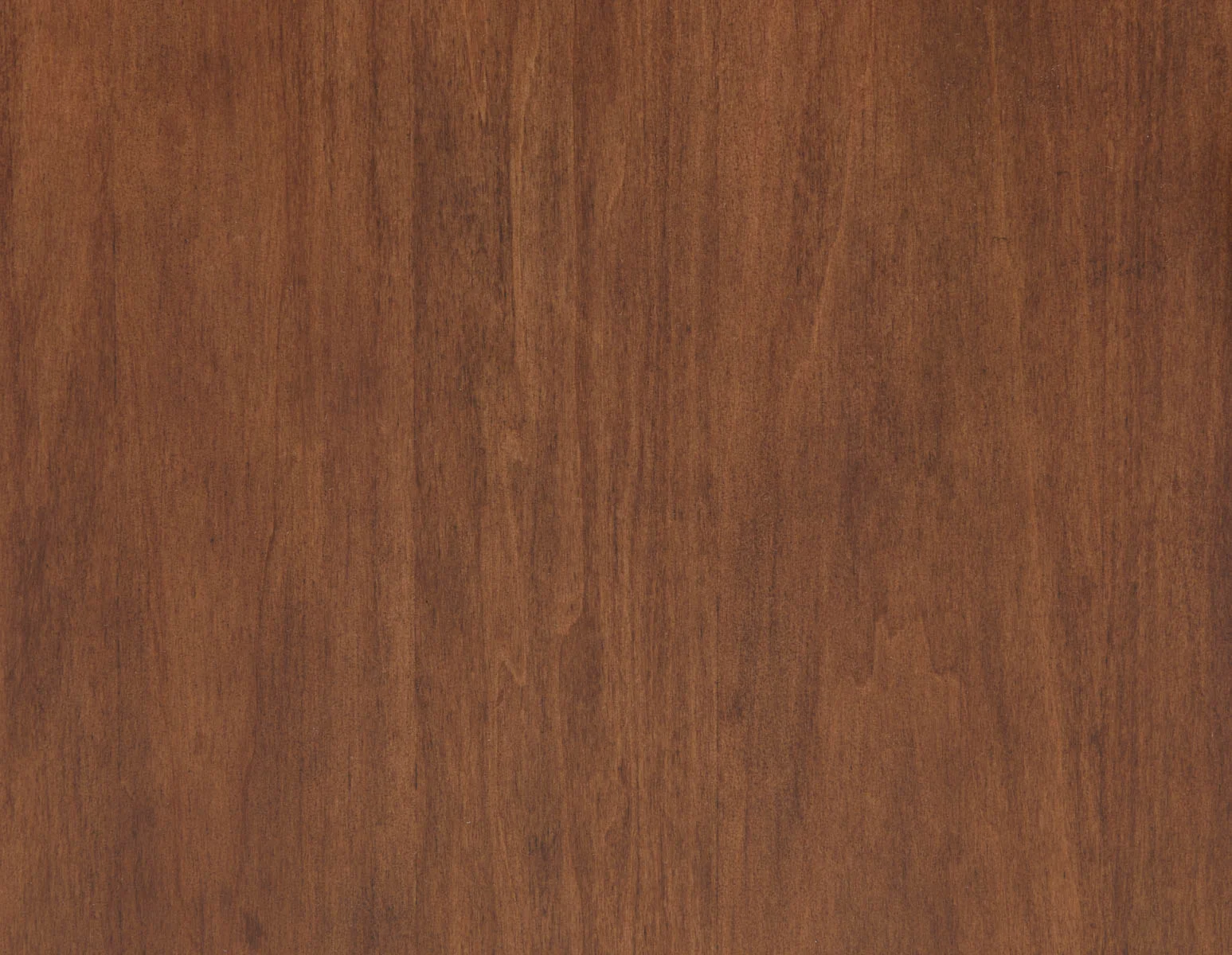 PALMO — Modern-retro 2-door sideboard - Image 16