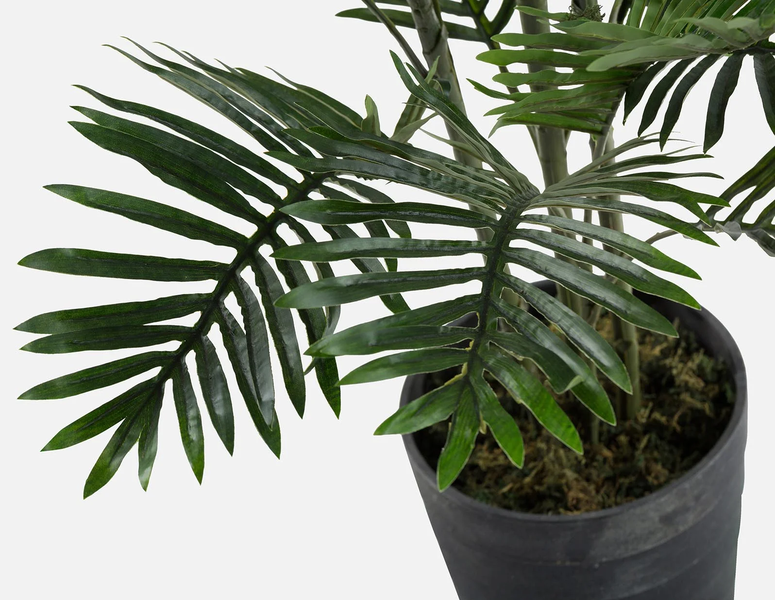 PALM — Artificial potted plant 150 cm - Image 2