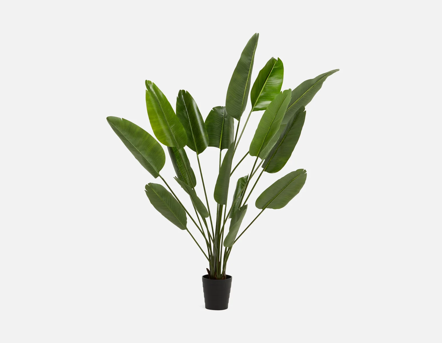 VERTO — Artificial potted plant 210 cm - Image 7
