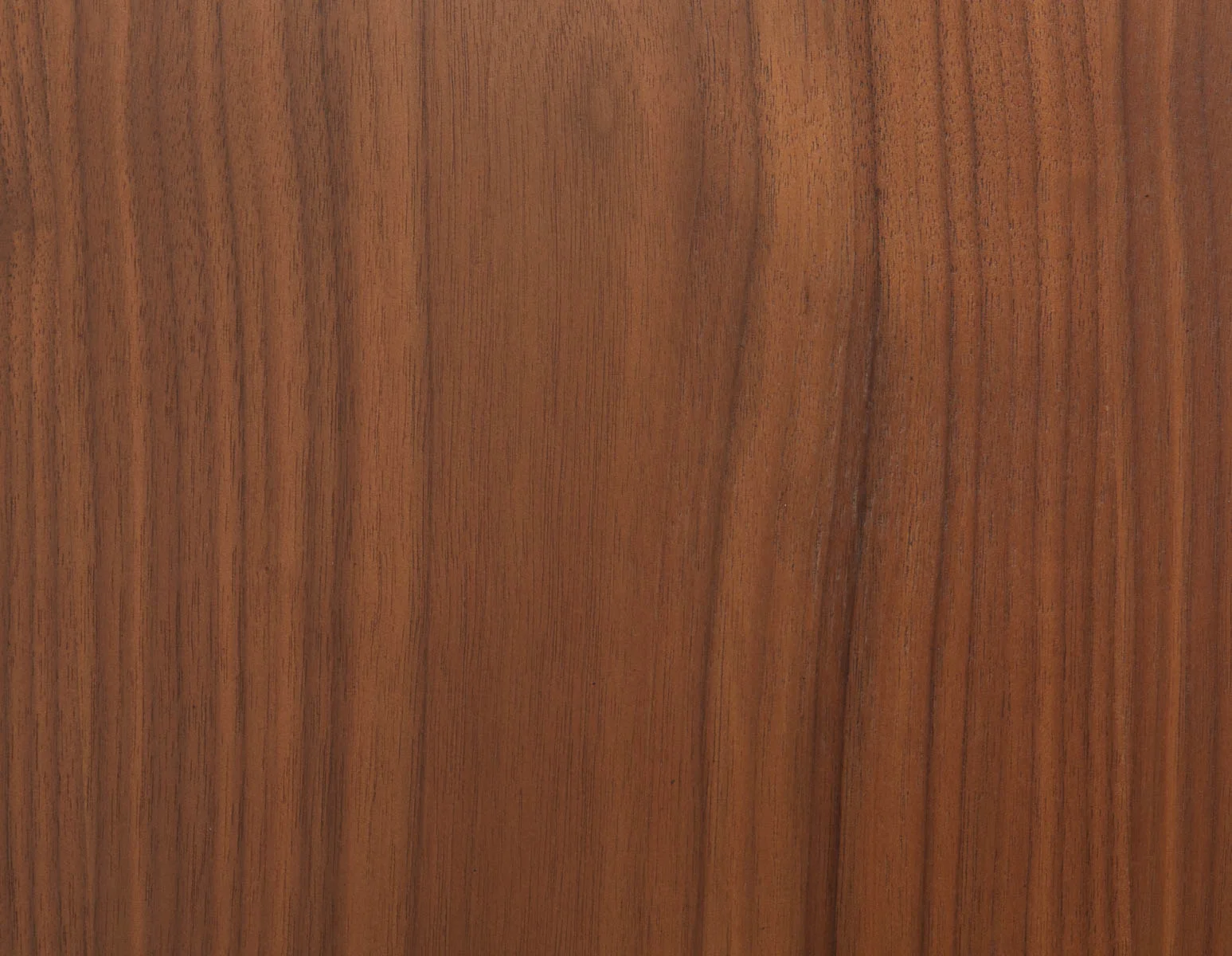 AFREEN — Mid century dining chair - Image 15