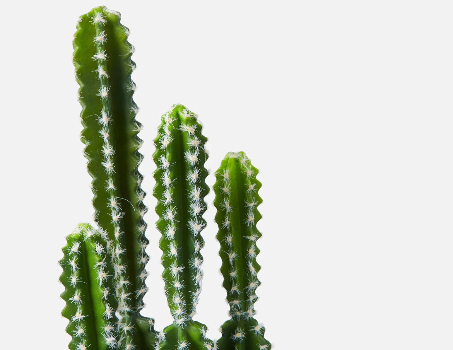 TETRA — Artificial potted cactus 70 cm - Image 4