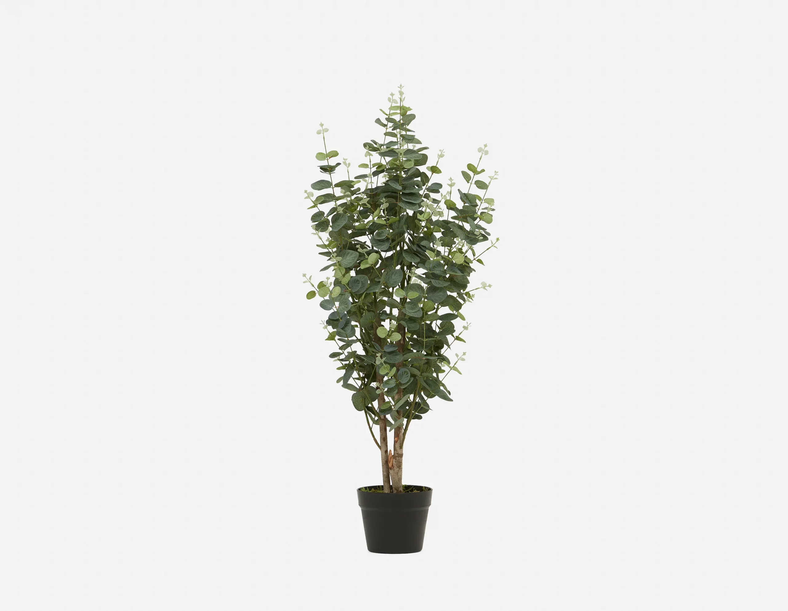 EUCALYPTUS III — Artificial potted plant 95cm