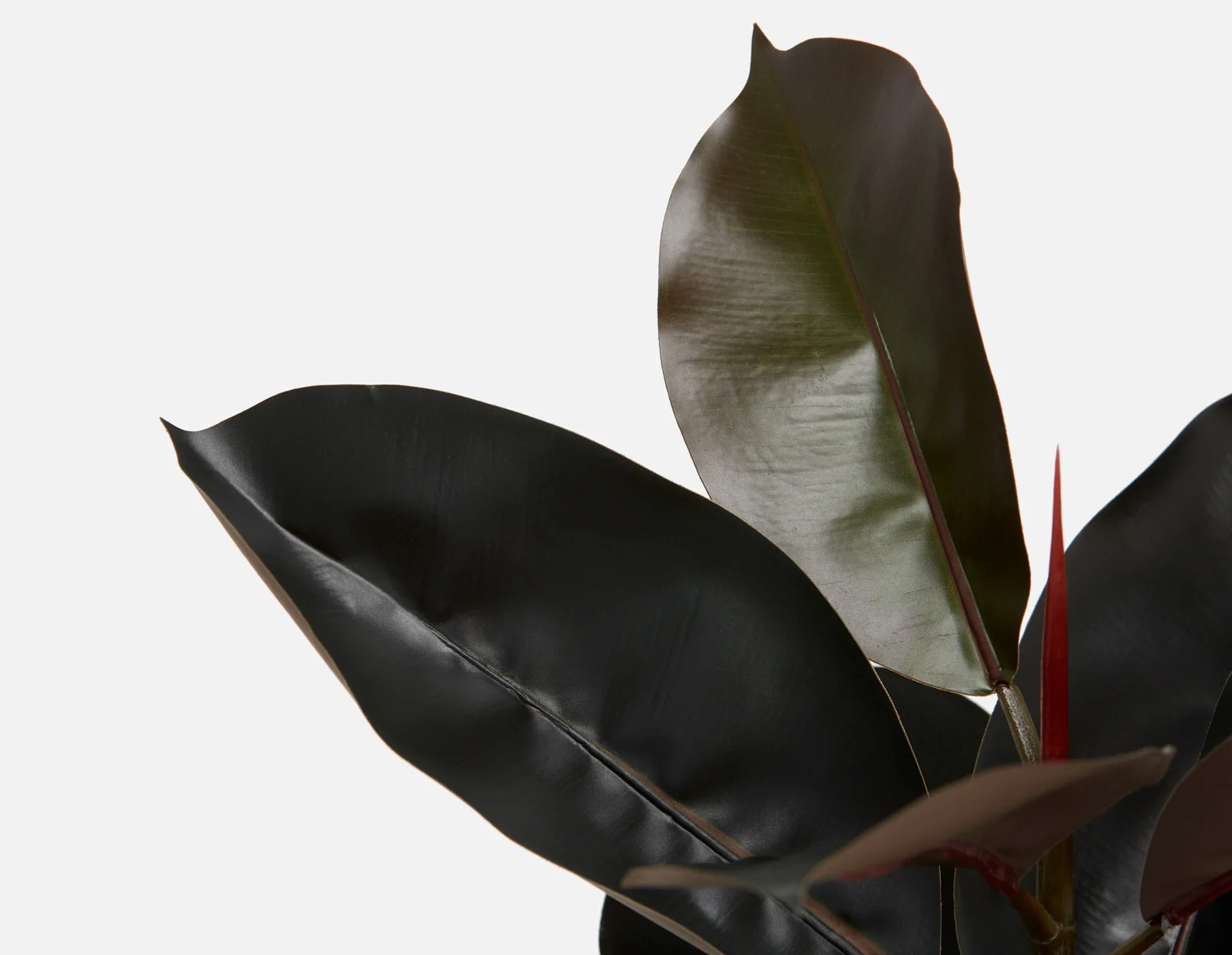 FAY — Artificial potted plant 90 cm - Image 2