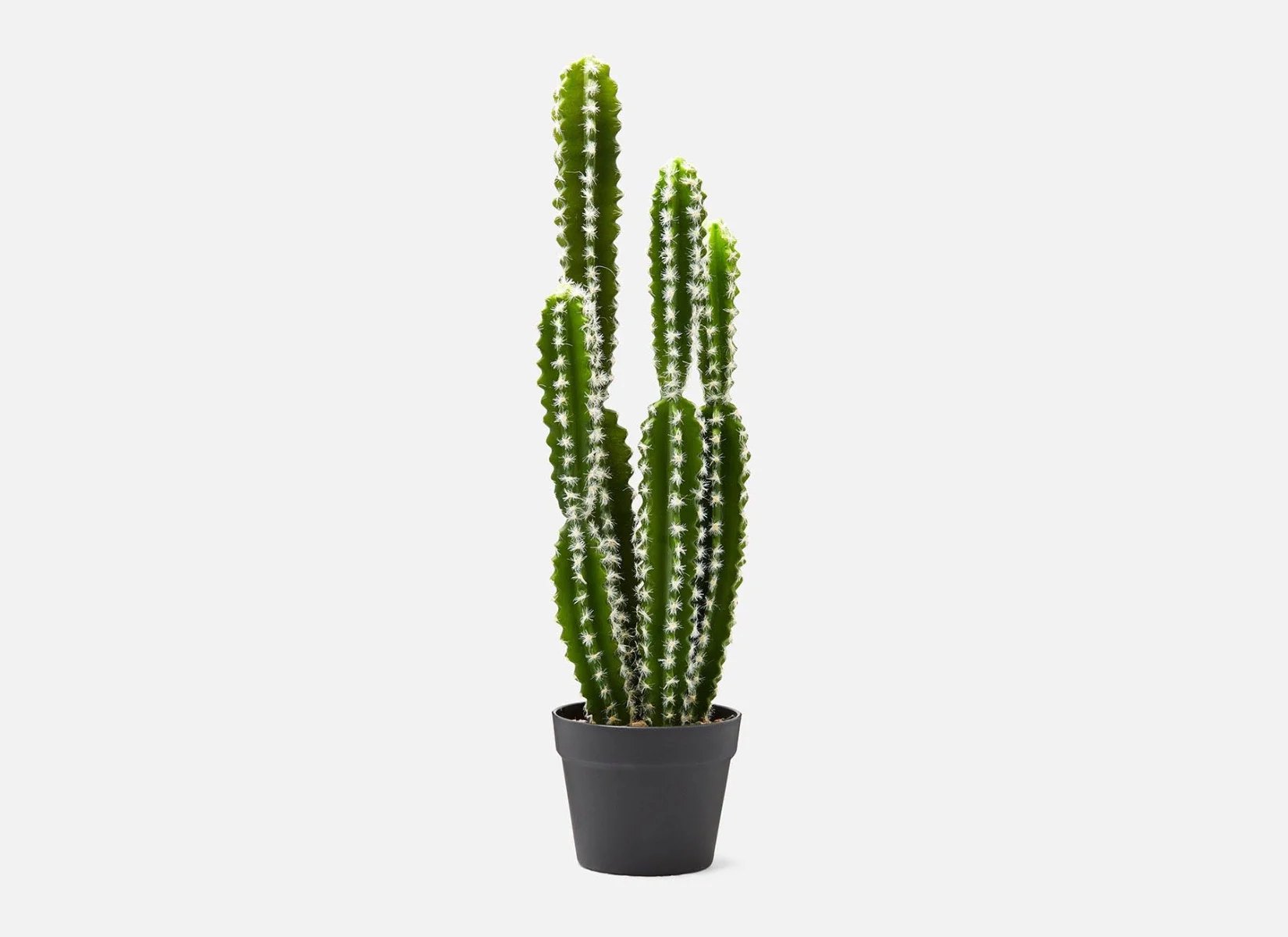 TETRA — Artificial potted cactus 70 cm - Image 3