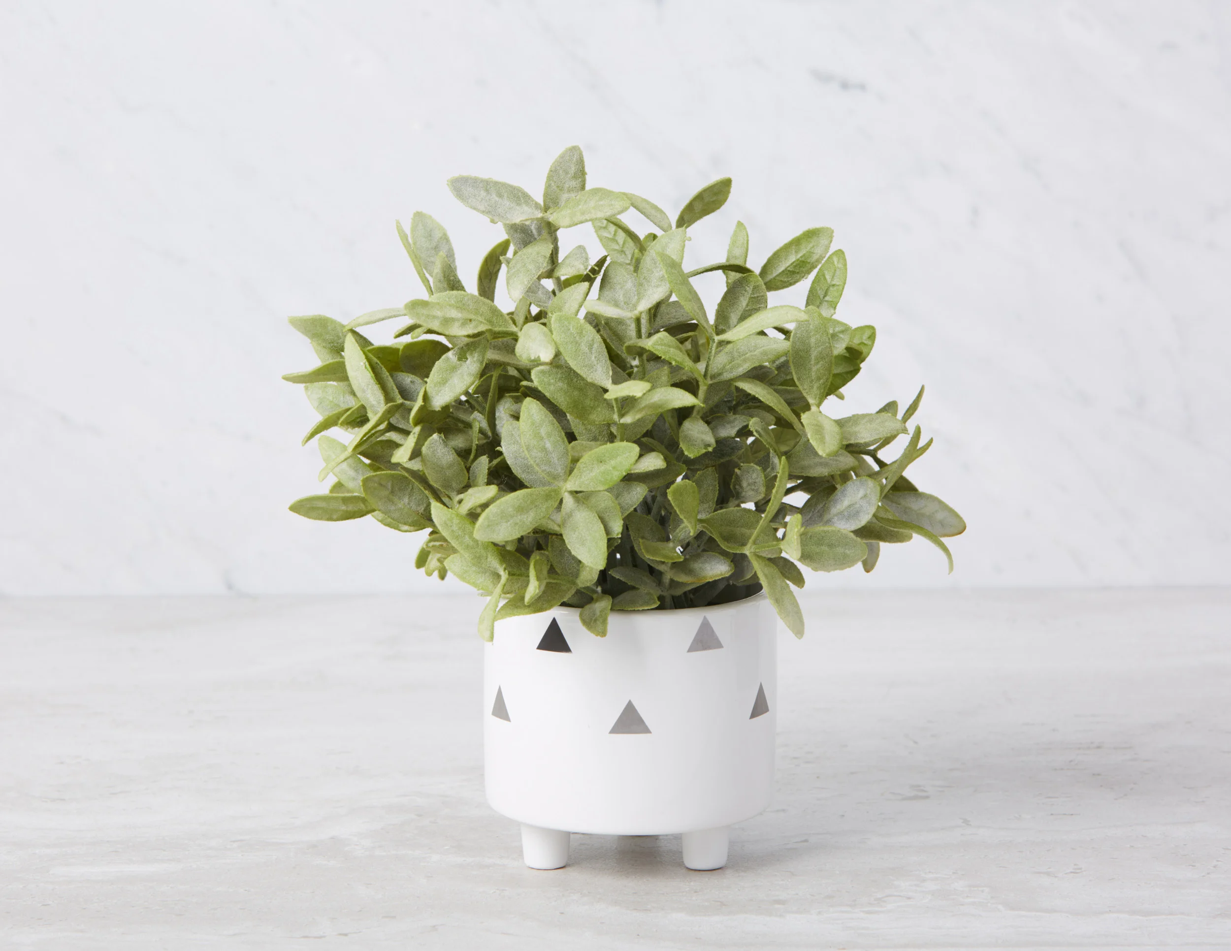 ALMA — Planter 10 cm - Image 5