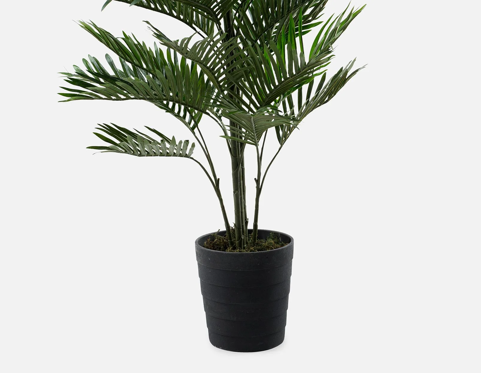 PALM — Artificial potted plant 150 cm - Image 4