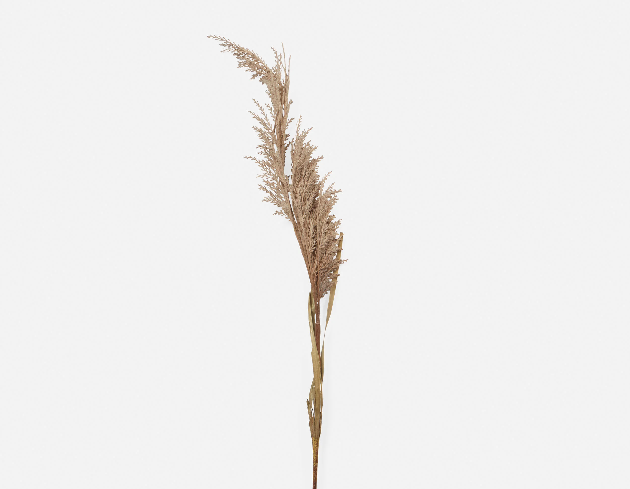 PAMPAS I — Artificial plant 107 cm - Image 3