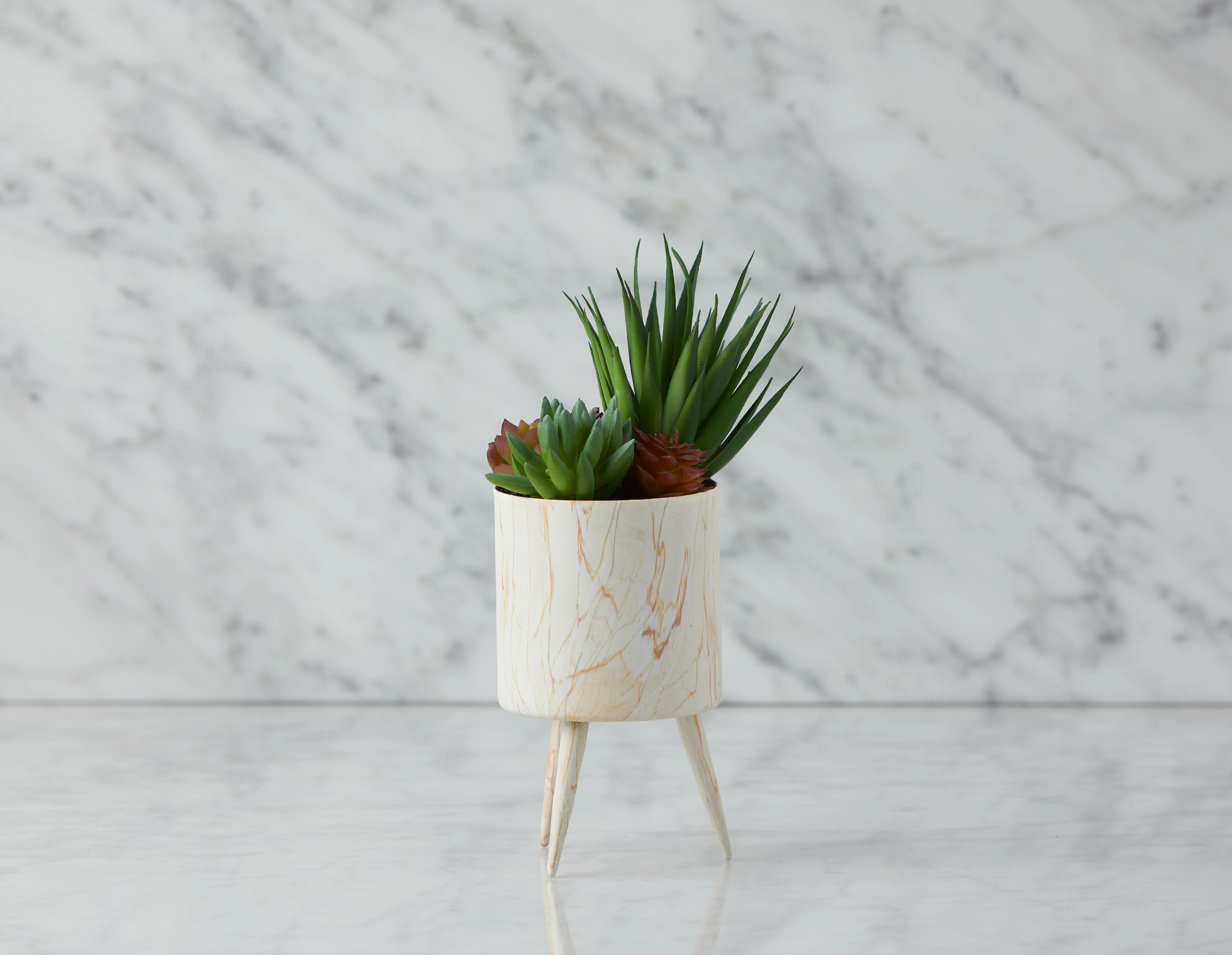 TAWNEY — Artificial potted plant 25 cm - Image 2