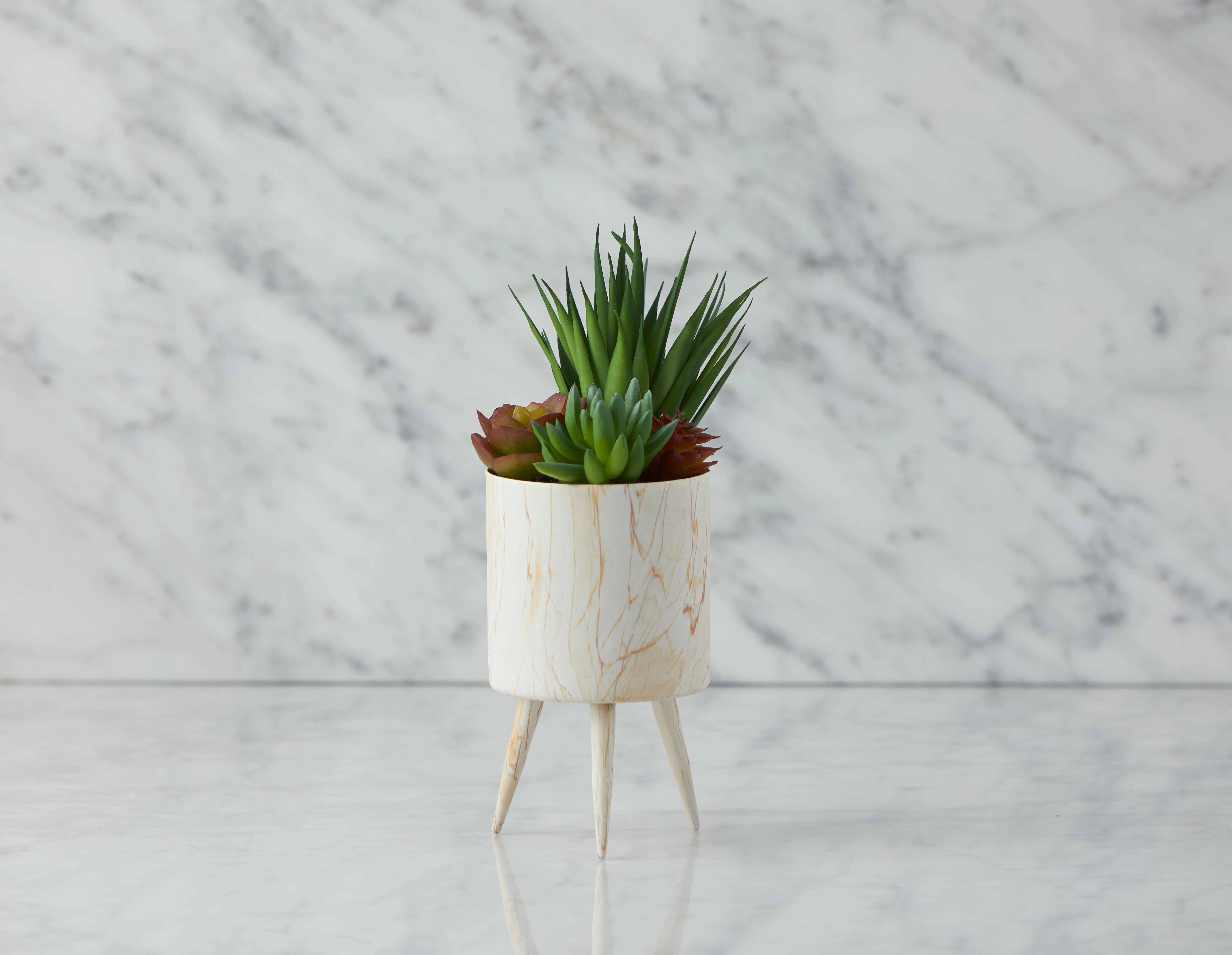 TAWNEY — Artificial potted plant 25 cm - Image 8