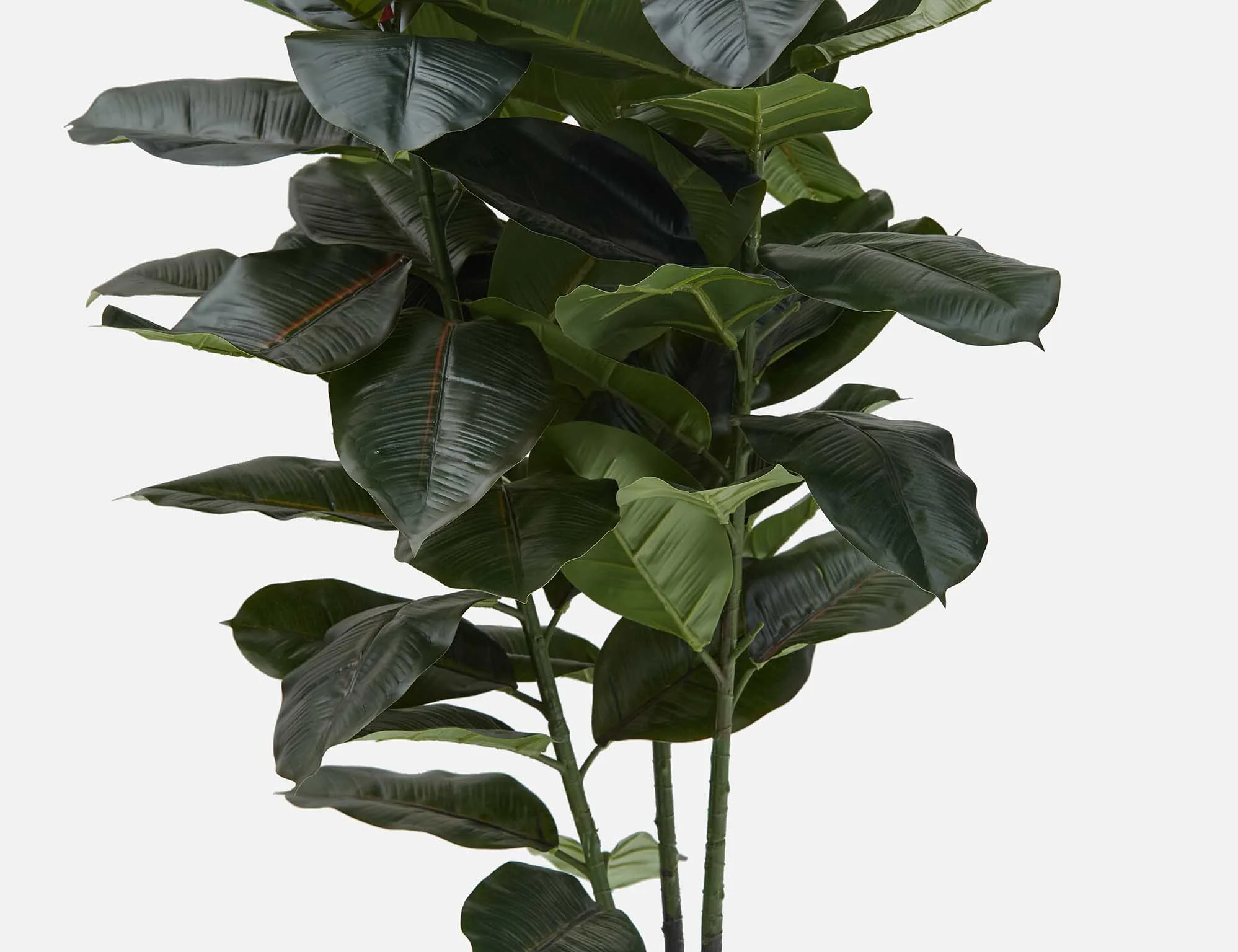 FICUS ELASTICA — Artificial potted plant 130 cm - Image 3