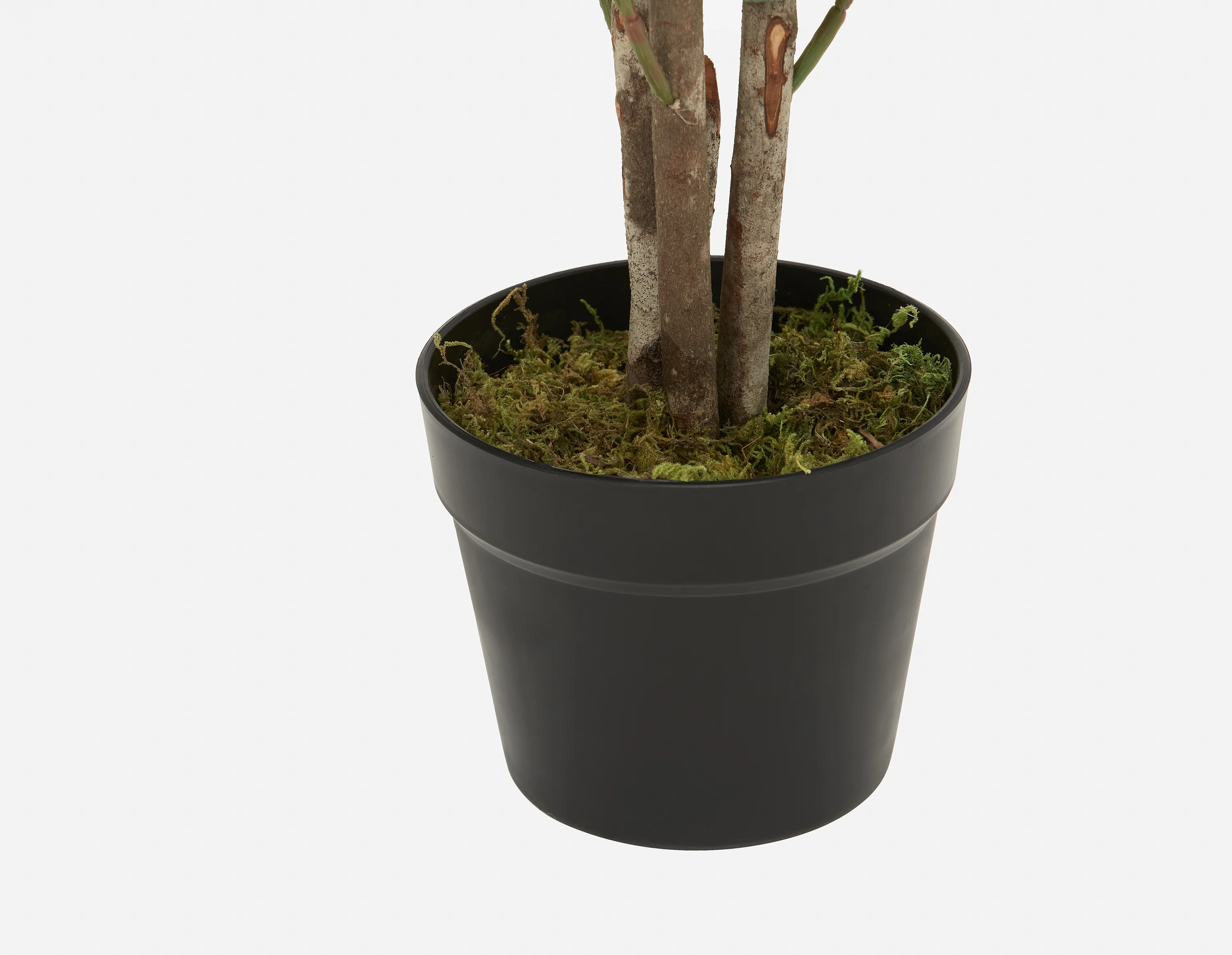 EUCALYPTUS III — Artificial potted plant 95cm - Image 3