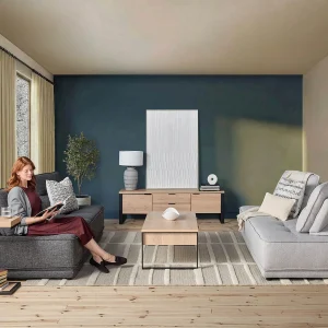 CHAMELEON — Modern sofa (72-63-11-33)