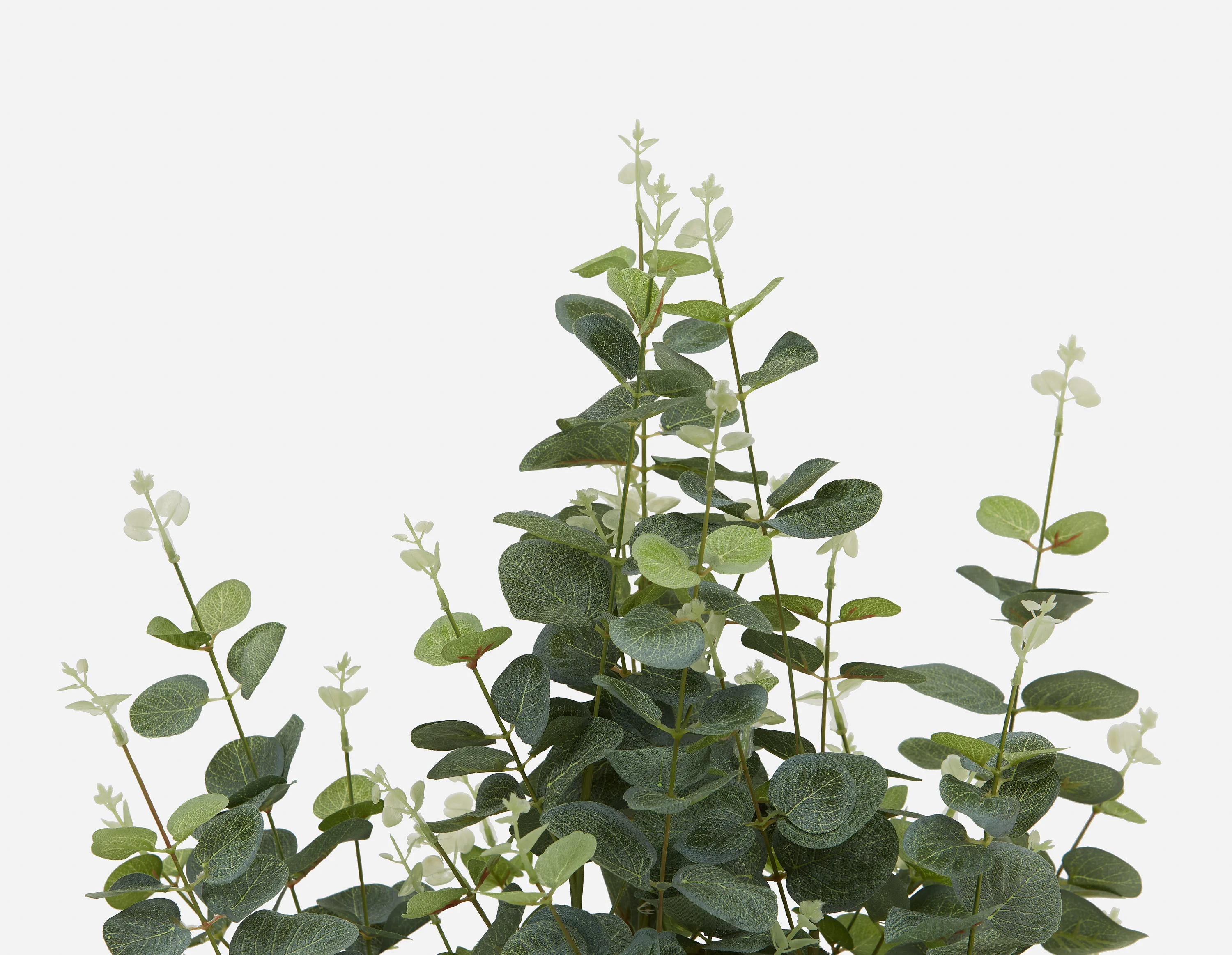 EUCALYPTUS III — Artificial potted plant 95cm - Image 4