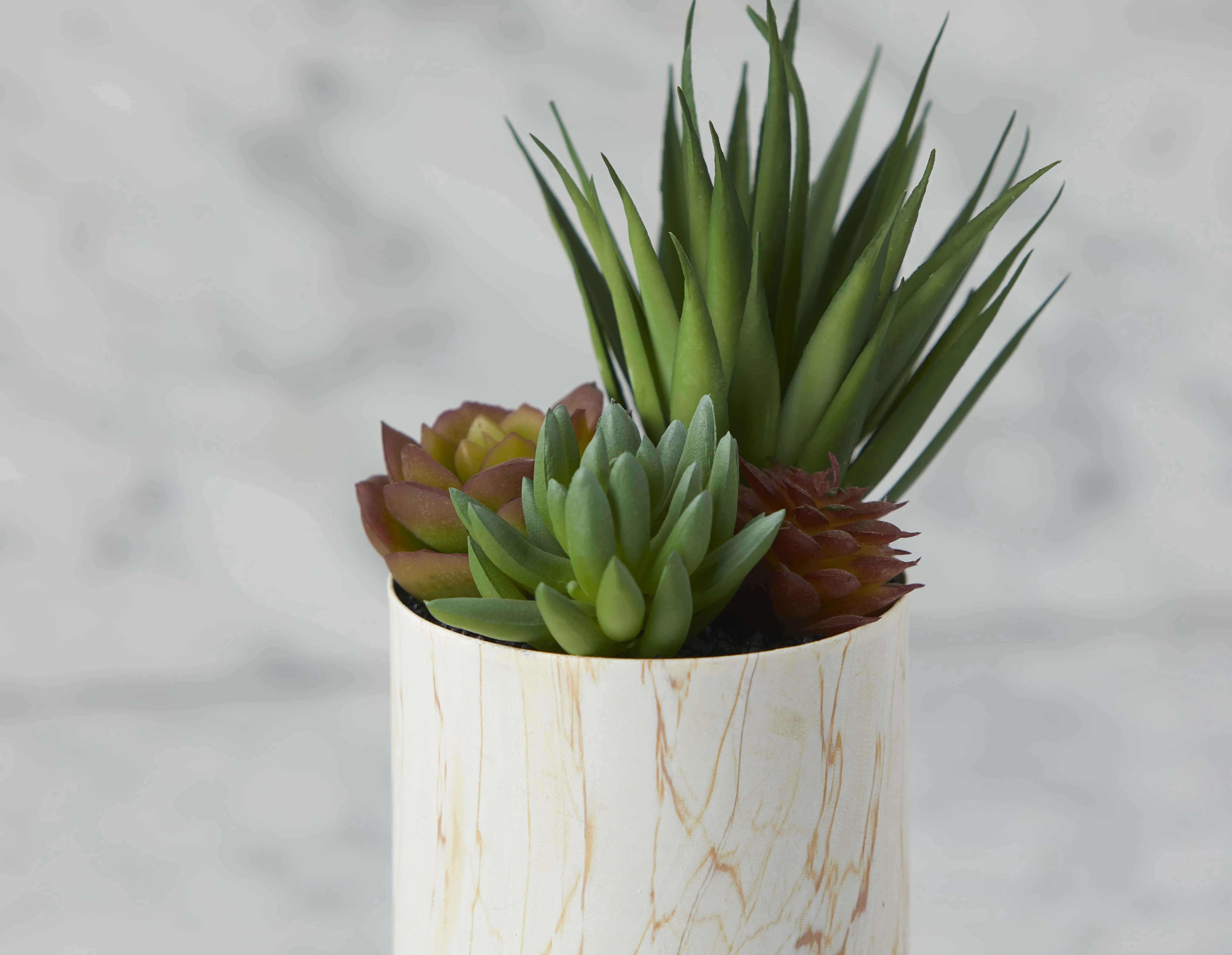 TAWNEY — Artificial potted plant 25 cm - Image 5