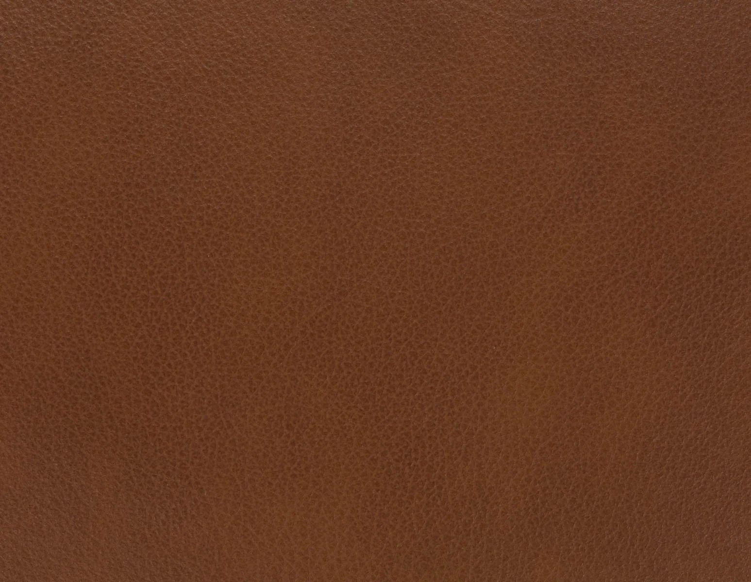 LATONA — 100% leather mid-century modern accent chair (71-53-26-96) - Image 13