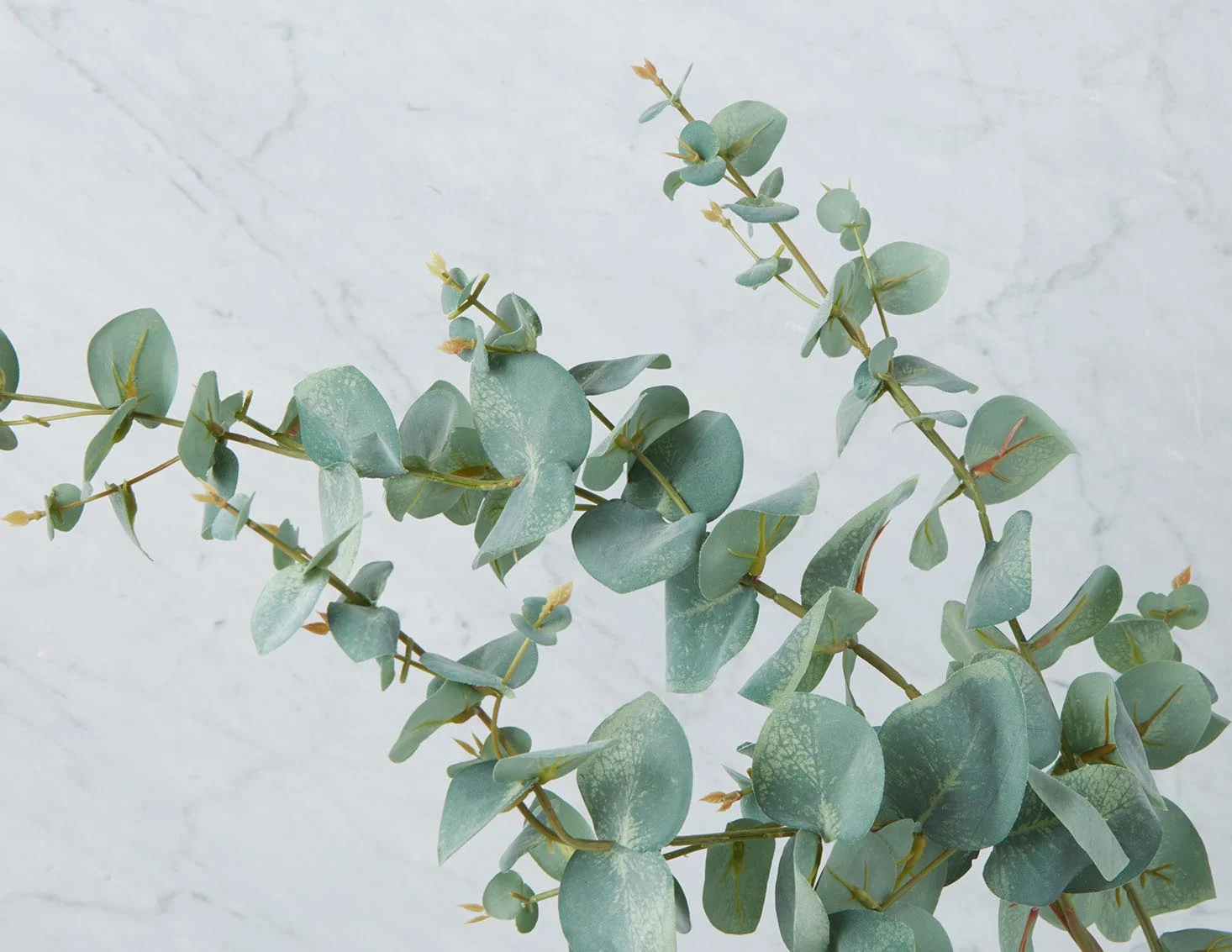 EUCALYPTUS — Artificial plant 115 cm - Image 3