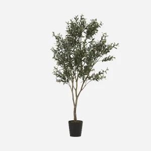 OLIVE II — Artificial potted plant 200cm