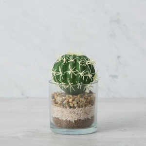 ECHINO — Artificial potted plant 15 cm