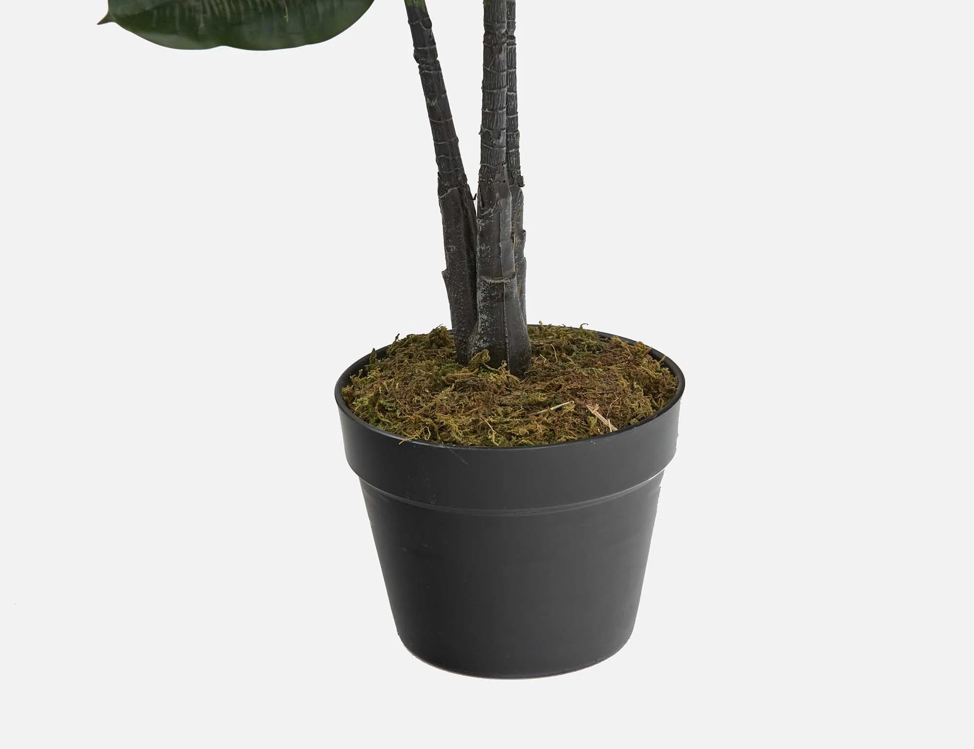 FICUS ELASTICA — Artificial potted plant 130 cm - Image 2