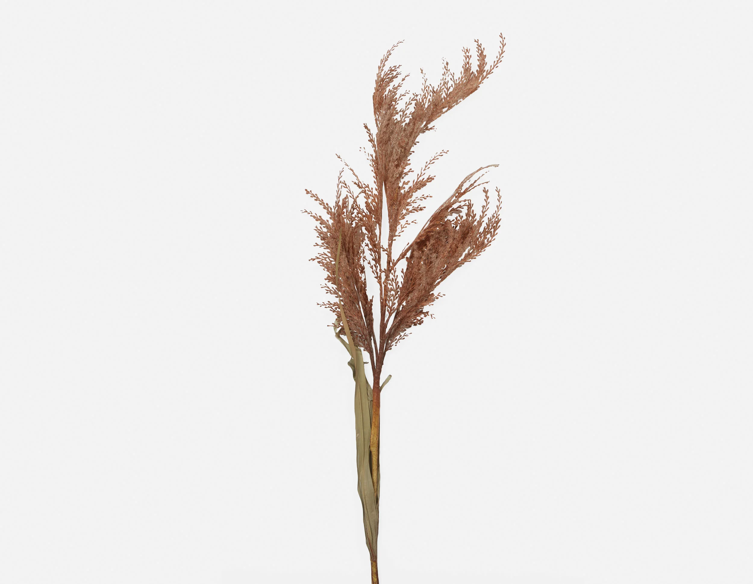 PAMPAS II — Artificial plant 107 cm - Image 3