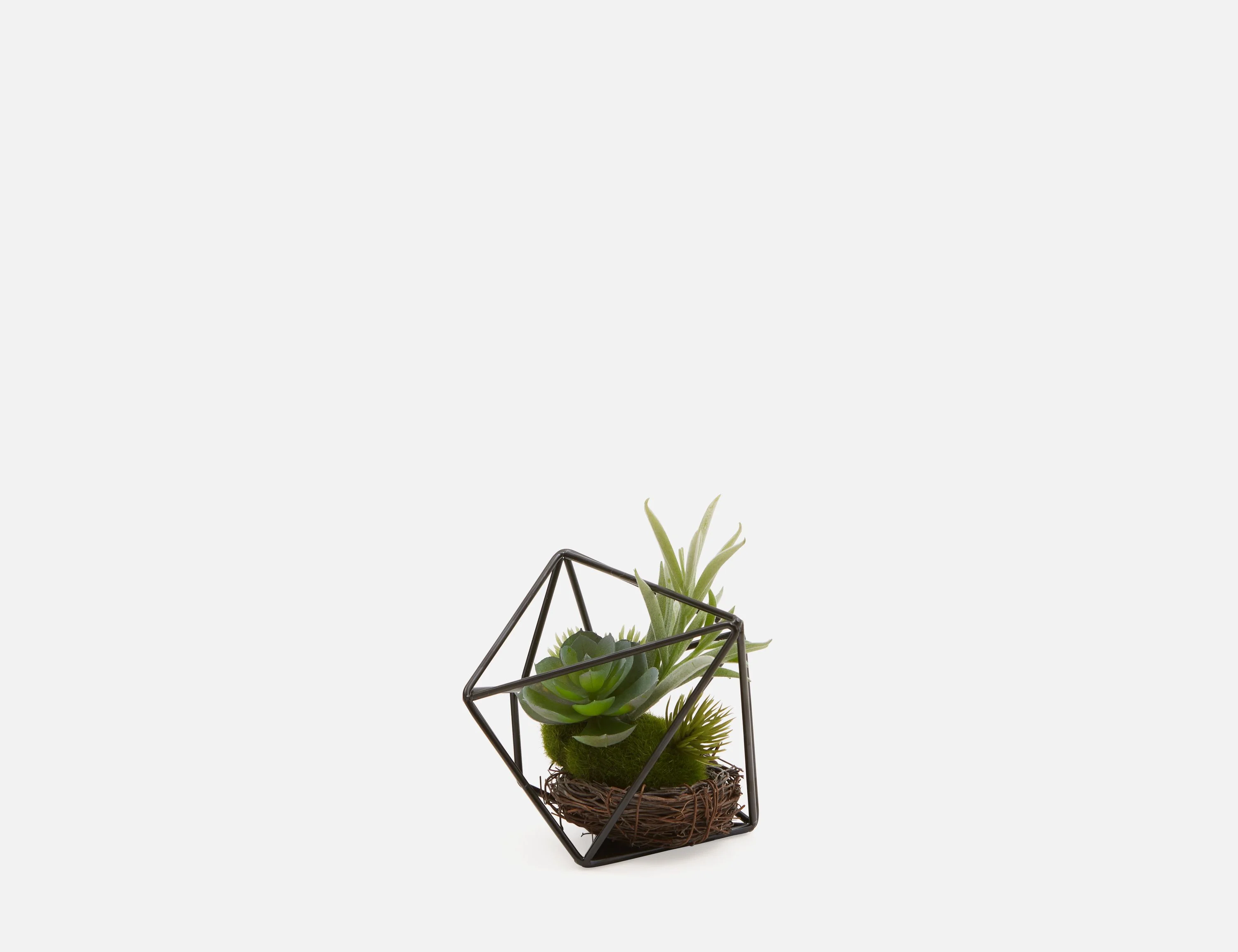 LOUKA — Artificial plant arrangement 13cm - Image 3