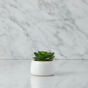 CAORY — Artificial potted plant 11 cm (93-94-67-10)