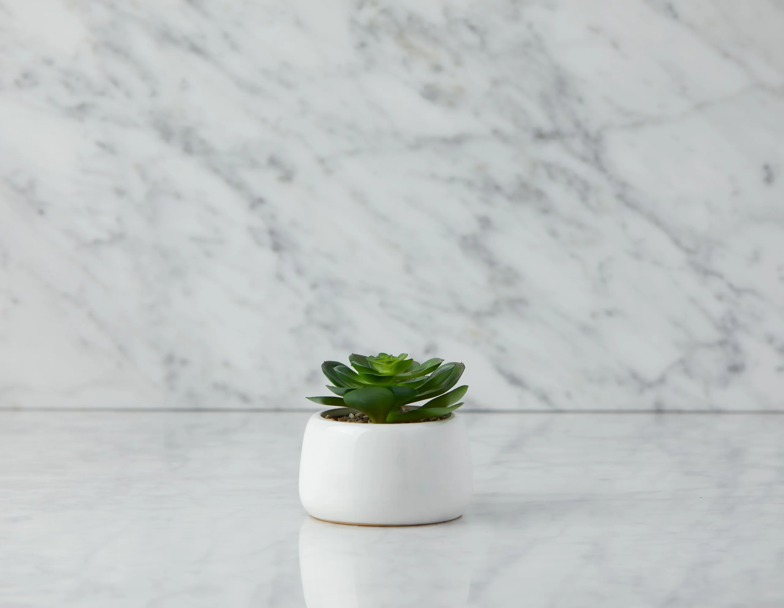 CAORY — Artificial potted plant 11 cm (93-94-67-10)