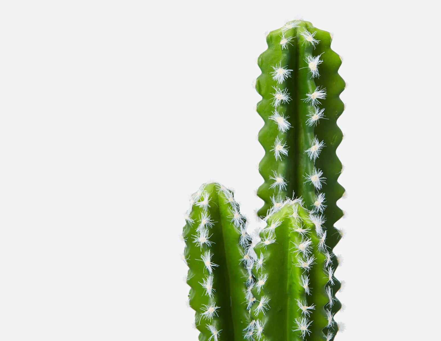 CEREUS — Artificial potted cactus 38 cm - Image 4