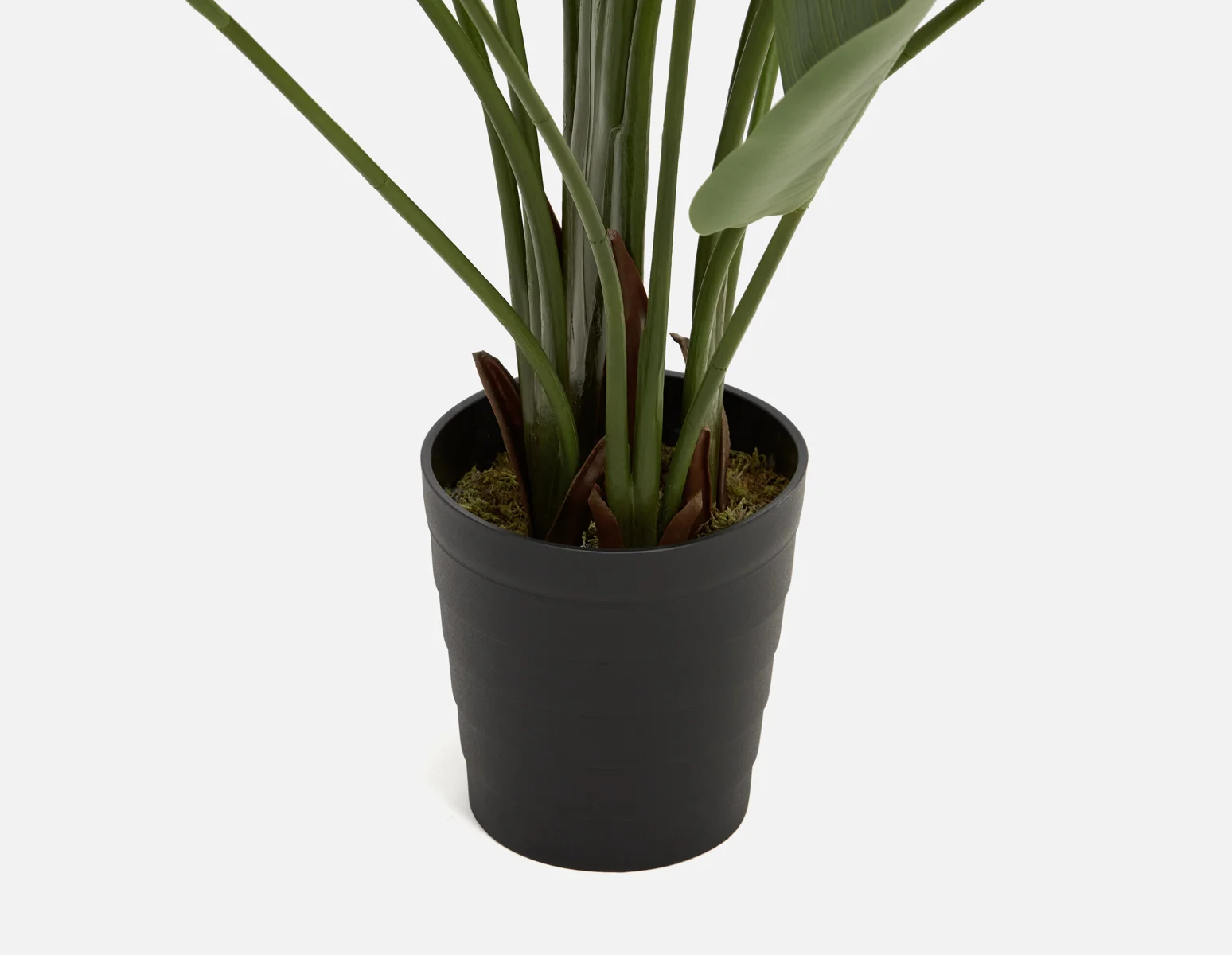 VERTO — Artificial potted plant 210 cm - Image 3