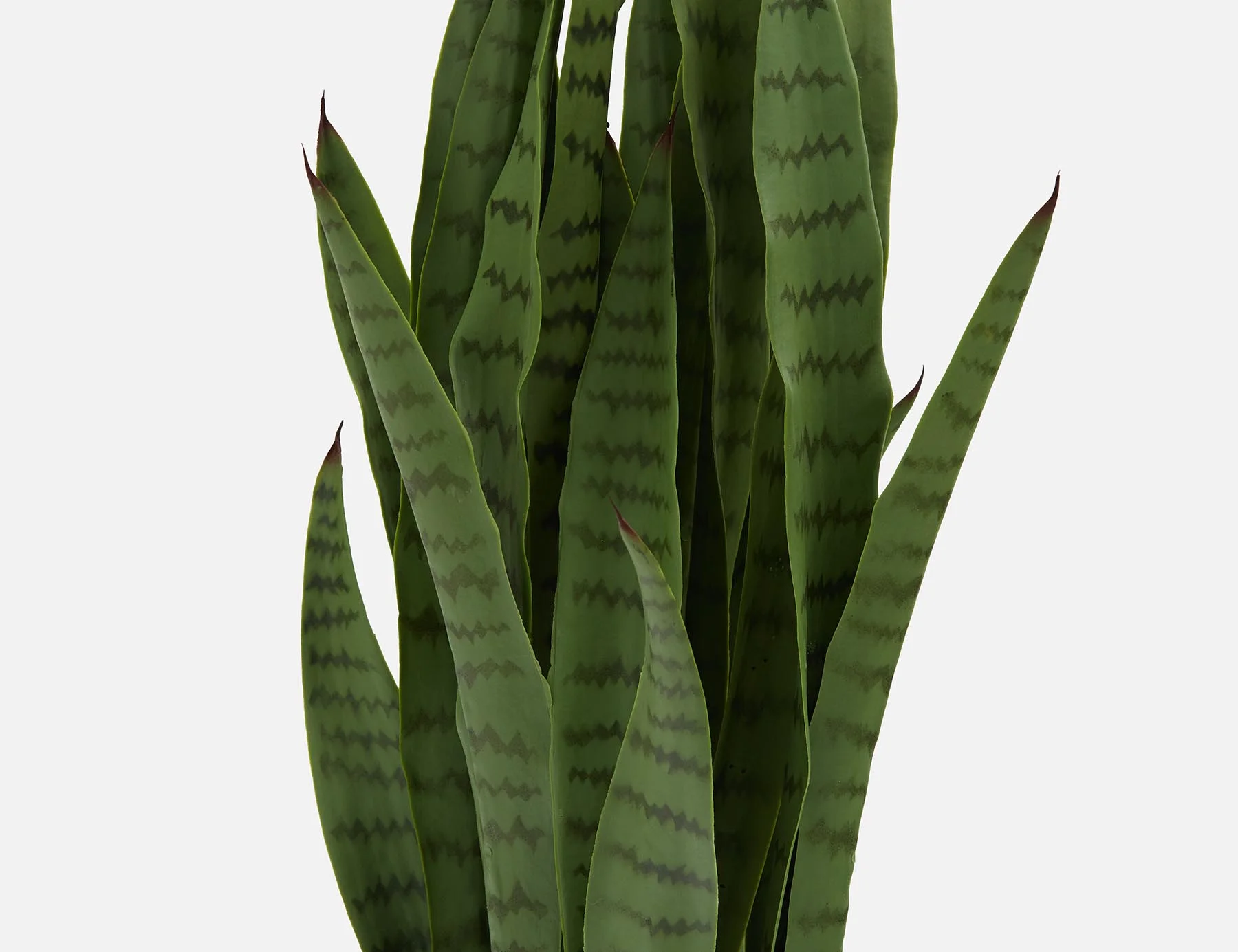 SNAKE PLANT — Artificial potted plant 94 cm - Image 3
