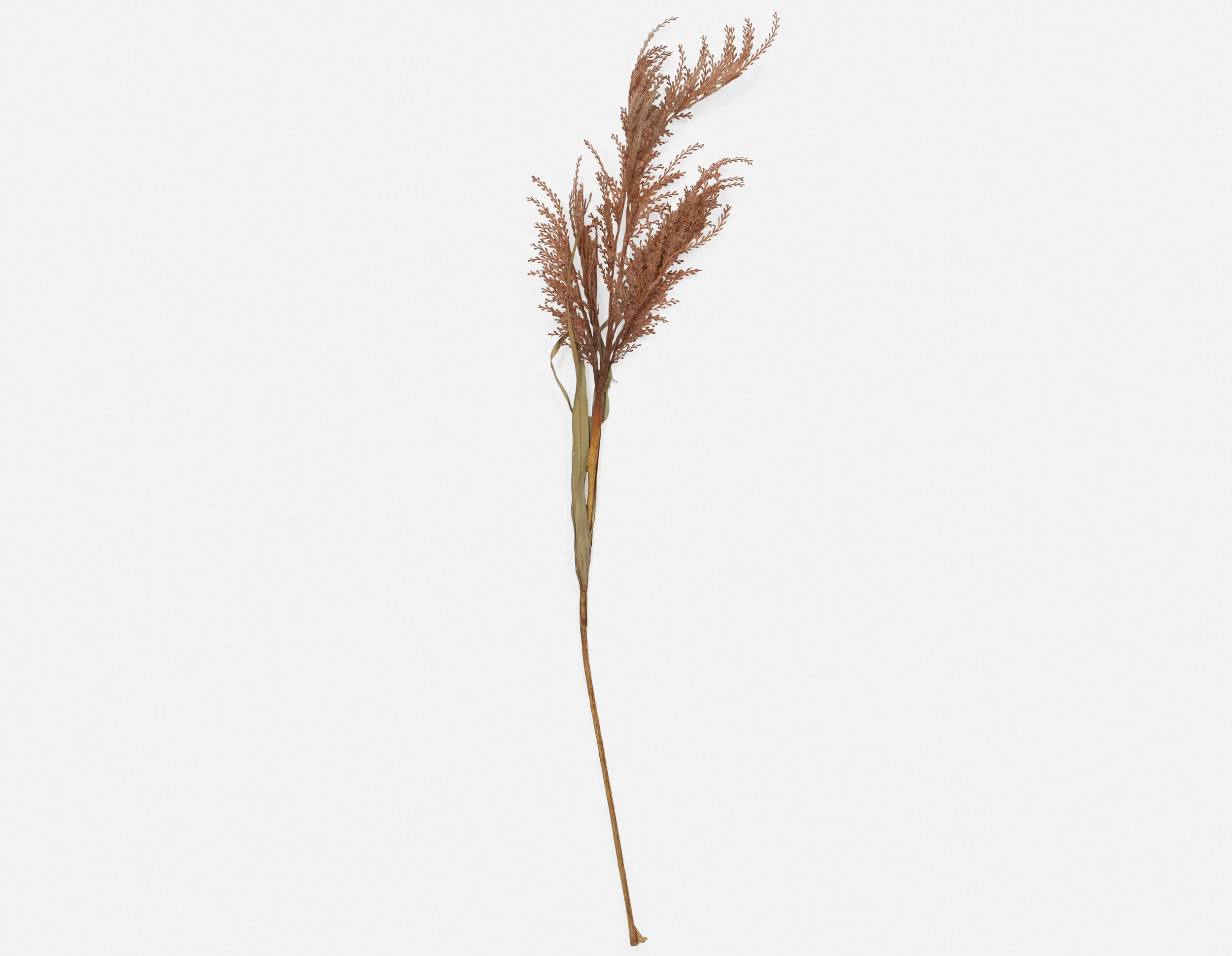 PAMPAS II — Artificial plant 107 cm - Image 2