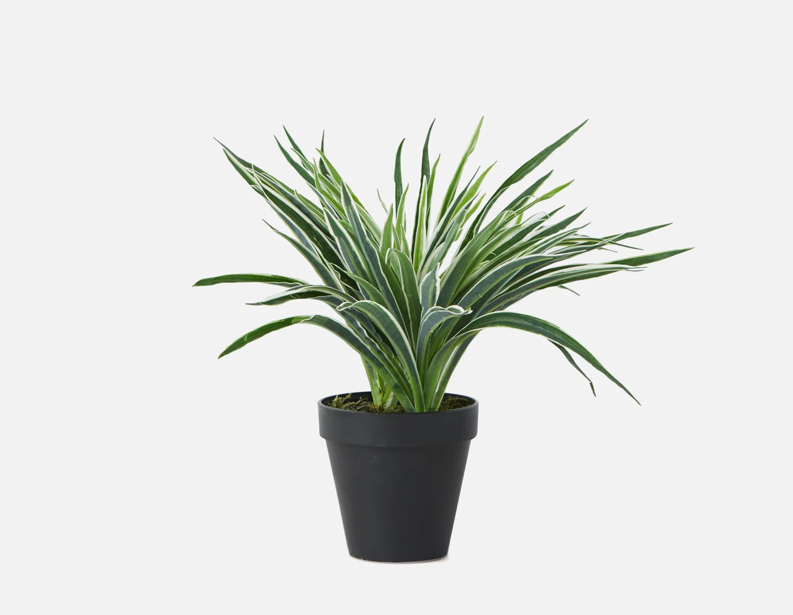GRASS — Artificial potted plant 30 cm - Image 7