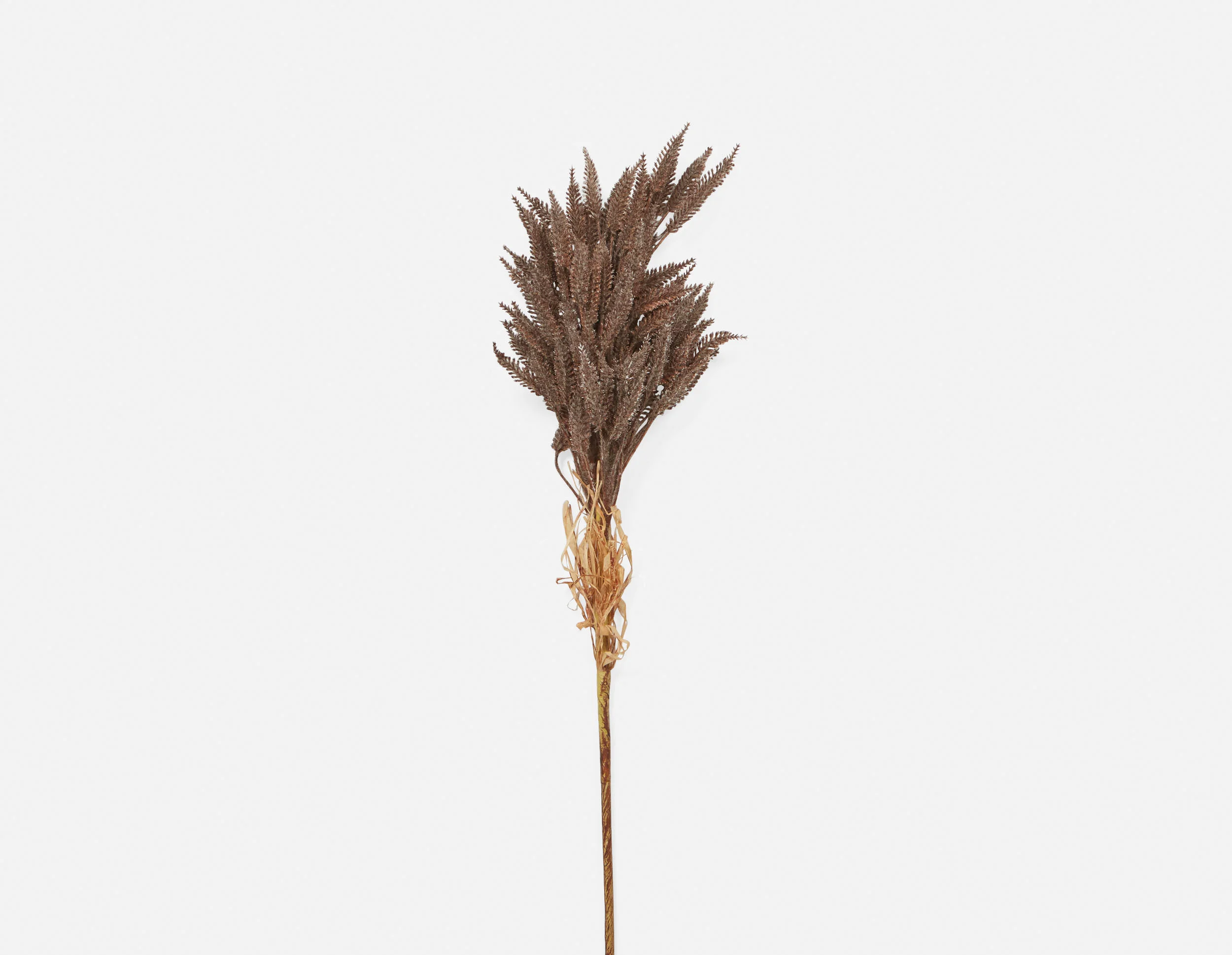 WHEAT I — Artificial plant 80 cm - Image 3