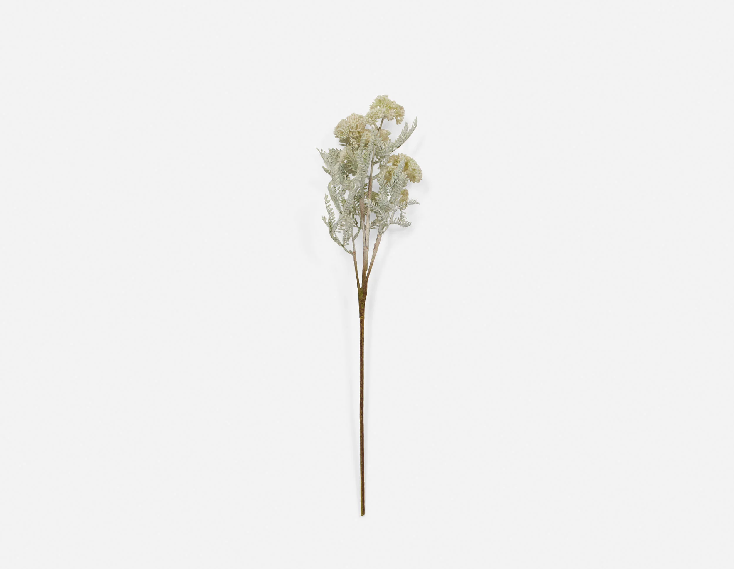 DANDI — Artificial plant 71 cm - Image 2