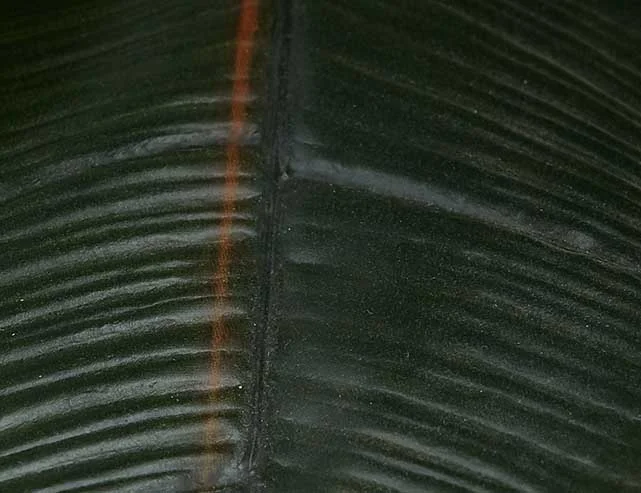 FICUS ELASTICA — Artificial potted plant 130 cm - Image 5
