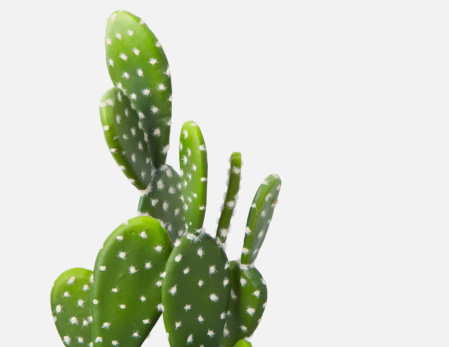 OPUNTIA — Artificial potted cactus 41 cm - Image 4