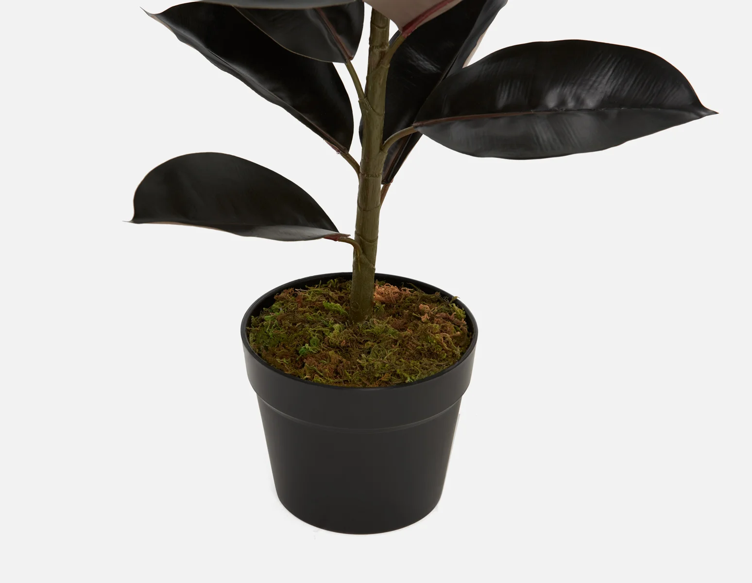FAY — Artificial potted plant 90 cm - Image 3