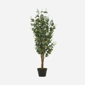 EUCALYPTUS IV — Artificial potted plant 125cm