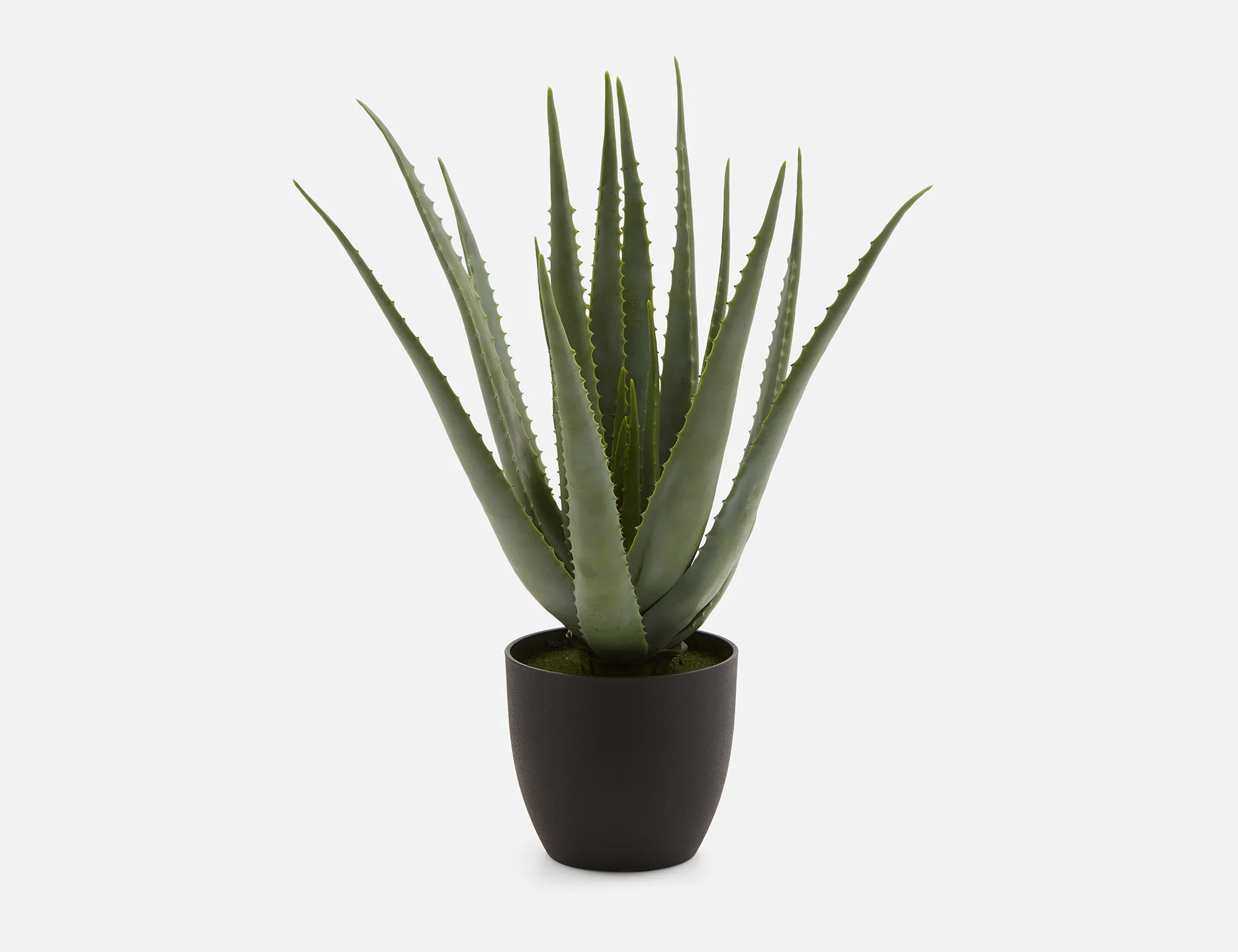 ALOEE — Artificial potted plant 67 cm - Image 2